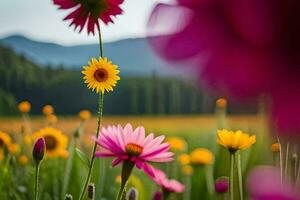 colorato fiori nel un' campo con montagne nel il sfondo. ai-generato foto