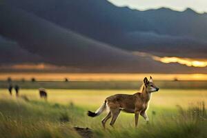 un' cervo è a piedi nel il erba a tramonto. ai-generato foto