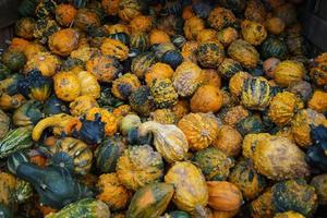 zucche su un mercato degli agricoltori foto