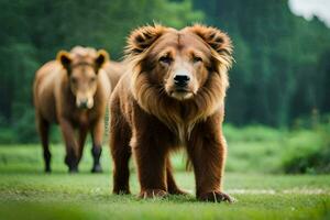 un' Marrone cane e un' Marrone orso a piedi nel il erba. ai-generato foto