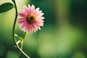 un' rosa fiore è in piedi nel davanti di un' verde sfondo. ai-generato foto