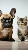 giocoso gattino e francese bulldog in posa su bianca tavolo. ai generato foto