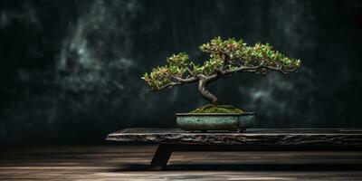 Bonsai albero su un' buio sfondo. minimalismo. generativo ai foto