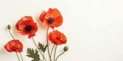 papavero giorno. memoria di tutti il soldati chi morto nel guerre coinvolgere grande Gran Bretagna. generativo ai foto