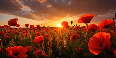 campo di papaveri a alba. papavero giorno. memoria di tutti il soldati chi morto nel guerre coinvolgere grande Gran Bretagna. generativo ai foto