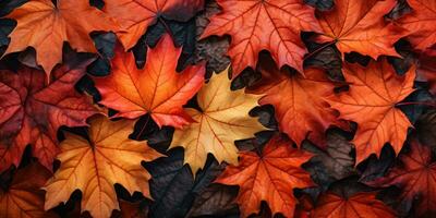 autunno foglie, superiore Visualizza. autunno sfondo. generativo ai foto