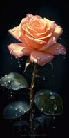 rosa fiore con pioggia gocce. Immagine per un' manifesto o cartolina. generativo ai foto