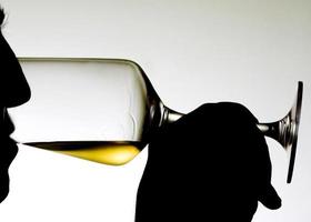 degustazione di vino bianco foto