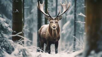 alce americano nel il neve foresta ai generato foto