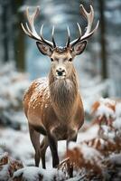 cervo su neve natura sfondo, ai generato foto