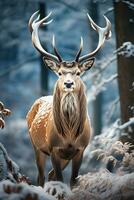 cervo su neve natura sfondo, ai generato foto