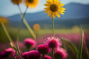 giallo girasole nel un' campo con rosa fiori. ai-generato foto