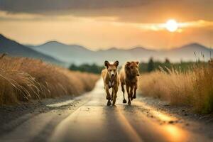 Due cani in esecuzione su un' strada a tramonto. ai-generato foto