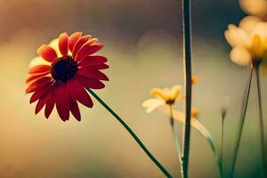 un' rosso fiore è in piedi nel davanti di un' campo. ai-generato foto