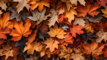 avvicinamento di autunno colorato giallo d'oro di spessore coperta di caduto asciutto acero le foglie su terra deciduo abscissione periodo al di sopra di foresta foglia rifiuti, generativo ai foto