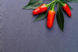peperoncino rosso verdura piccante foto