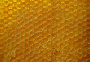 goccia di miele d'api gocciolamento da favi esagonali