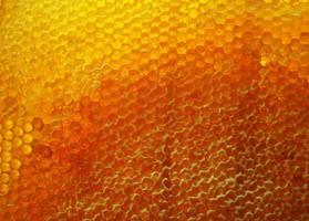 goccia di miele d'api gocciolamento da favi esagonali
