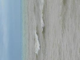 mostra la schiuma dell'onda del mare, stagno della fauna selvatica, spiaggia