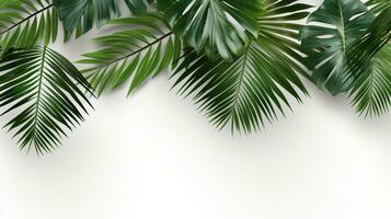 tropicale telaio con verde palma le foglie design su sfondo, copia spazio, estate sfondo, ai generativo foto