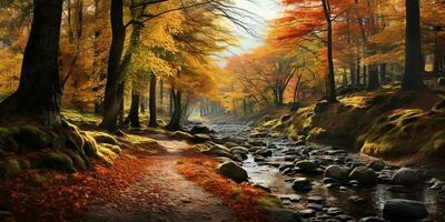 autunno foresta scenario con strada e caldo luce del sole brillare attraverso rami di alberi, colorato natura, ai generativo foto