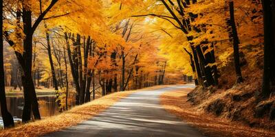 autunno foresta scenario con strada e caldo luce del sole brillare attraverso rami di alberi, colorato natura, ai generativo foto