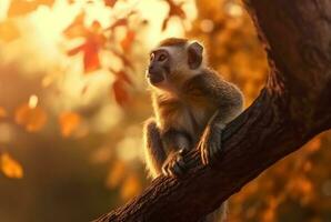 scimmia su un' albero con sfocato sfondo e luce del sole. generativo ai foto