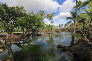 stagno di pesci nel parco storico di kalahuipuaa sulla grande isola delle hawaii foto