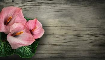 rosa calla giglio fiori su vecchio di legno sfondo con copia spazio. ai generato. foto