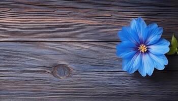 bellissimo blu fiore su un' di legno sfondo. Visualizza a partire dal sopra. ai generato. foto