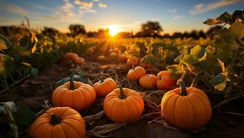 zucca toppa su soleggiato autunno giorno. bellissimo autunno scena. ai generato. foto