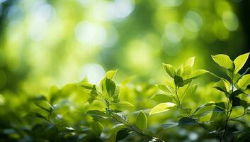 verde le foglie sfondo nel soleggiato giorno con morbido messa a fuoco e bokeh. ai generato. foto