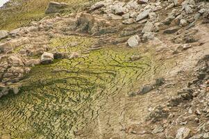 il ponsul fiume è un' affluente di il tejo fiume, nel Portogallo, e è un' molto grande fiume. a Questo tempo esso è completamente asciutto, senza acqua e con suo letto Cracked dovuto per clima modificare foto