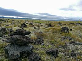 dettaglio di dell'islanda lussureggiante naturale paesaggio foto