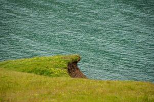 dettaglio di modello dell'islanda lussureggiante naturale paesaggio foto