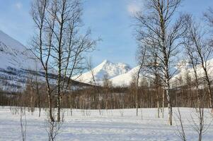 inverno paesaggio montagne con neve foto