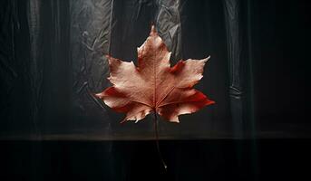 vivace autunno vecchio asciutto acero foglia su buio sfondo. ai generato foto