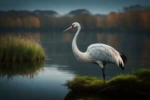 un ricco gru in mostra nel sereno Waterside scene. creativo risorsa, ai generato foto