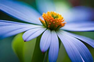 un' avvicinamento fotografia di un' finemente goccia di rugiada riposo su un' vivace fiore petalo. creativo risorsa, ai generato foto