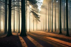 un' calma mattina vedere di un' nebbioso timberland con barre di luce del giorno entrata attraverso il alberi. ai generato foto