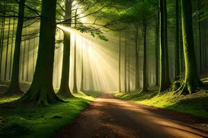 un incantevole imboschire illuminato di splendore di luce del sole filtraggio attraverso il denso baldacchino di albero. creativo risorsa, ai generato foto