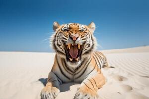 tigre riposo su il spiaggia natura Visualizza ai generato foto