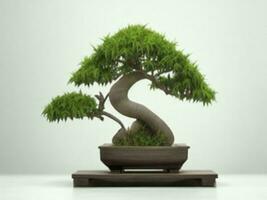 bellissimo costoso Bonsai albero su bianca sfondo ai generato foto