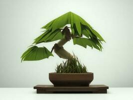 bellissimo costoso Bonsai albero su bianca sfondo ai generato foto