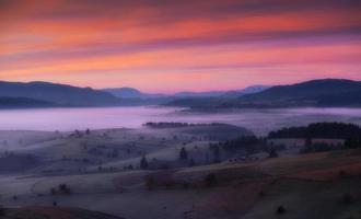 ampio prato al mattino presto foto