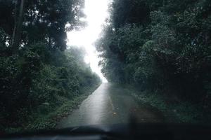 strada in una foresta tropicale, la strada nella foresta umida tropicale foto