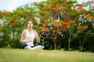 giovane femmina con all'aperto attività nel il città parco, yoga è sua scelto attività. foto