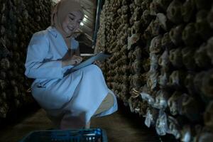 giovane asiatico musulmano femmina scienziato ricerca opera a fungo fabbrica, raccolta maturo funghi nel fungo Casa per laboratorio esperimenti. foto