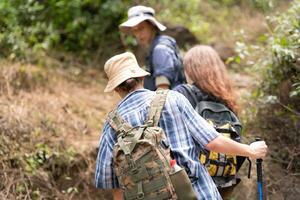 gruppo di amico su un' soleggiato giorno nel il foresta giovane gruppo escursionista con zaino e il trekking poli foto