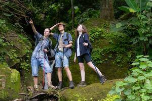 gruppo di giovane persone escursioni a piedi nel il foresta. viaggio e avventura concetto. foto